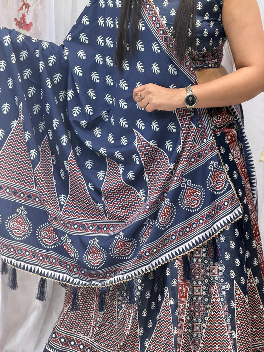 Indigo Grace Printed Designer Choli