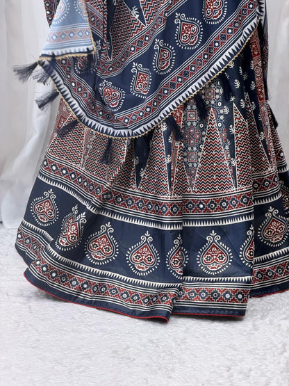 Indigo Grace Printed Designer Choli